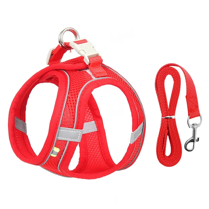 Puppy Harness Set Dog Accessories