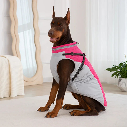 Waterproof Pet Jacket With Harness