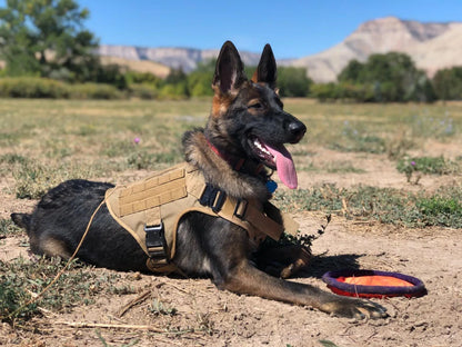 Military Large Dog Harness Accessories
