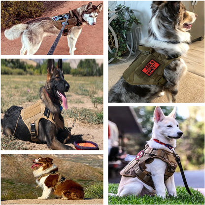 Military Large Dog Harness Accessories