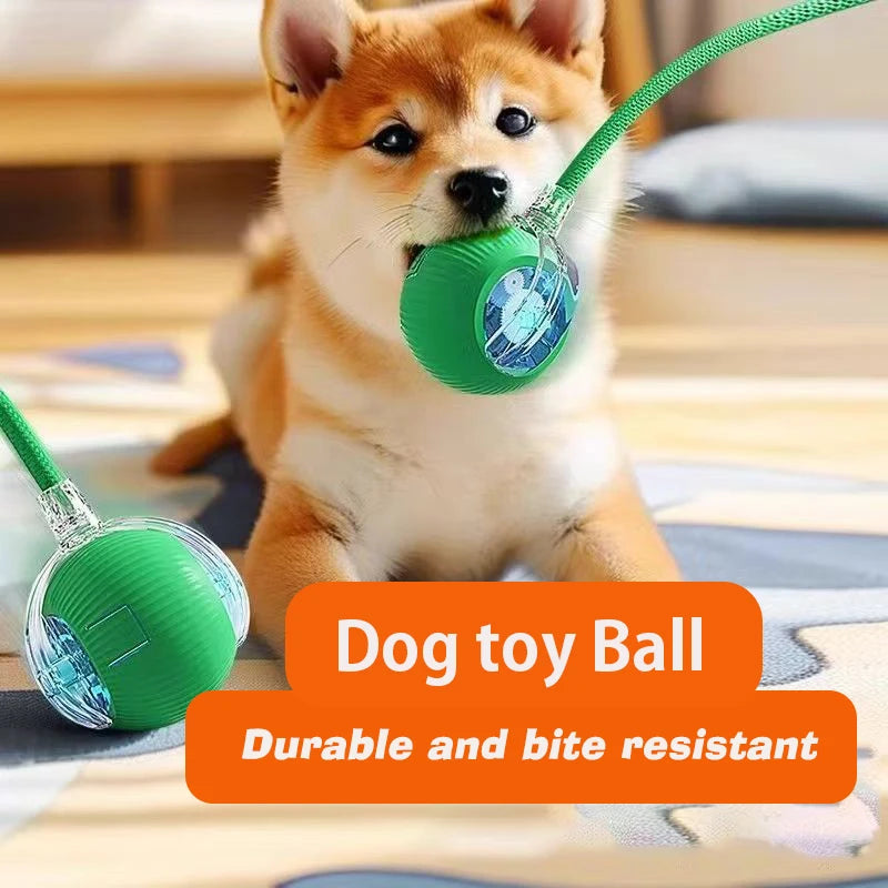 New Dog Interactive Ball Toy,Automatic