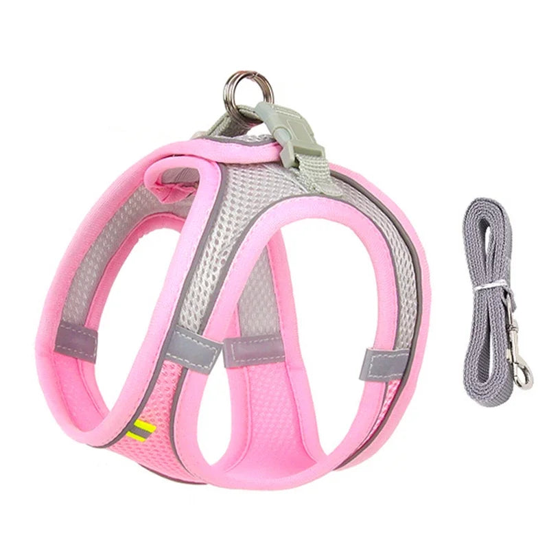Puppy Harness Set Dog Accessories