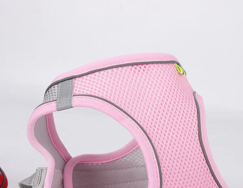 Puppy Harness Set Dog Accessories