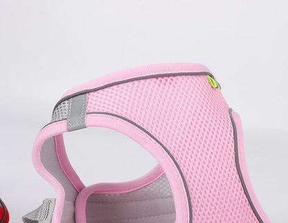 Puppy Harness Set Dog Accessories