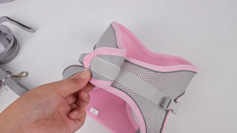 Puppy Harness Set Dog Accessories
