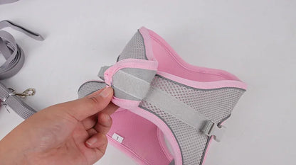 Puppy Harness Set Dog Accessories