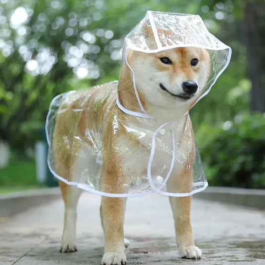 Pet Dog Puppy Transparent Rainwear Waterproof
