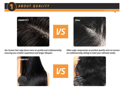 99J Burgundy Lace Frontal Wig  Pre Plucked