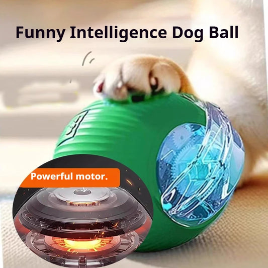 New Dog Interactive Ball Toy,Automatic