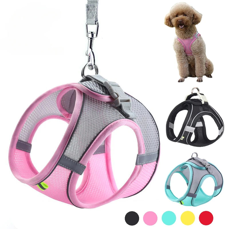 Puppy Harness Set Dog Accessories