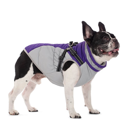 Waterproof Pet Jacket With Harness
