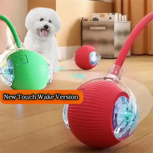 New Dog Interactive Ball Toy,Automatic