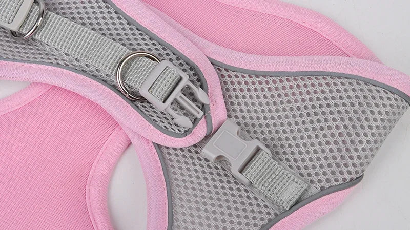 Puppy Harness Set Dog Accessories