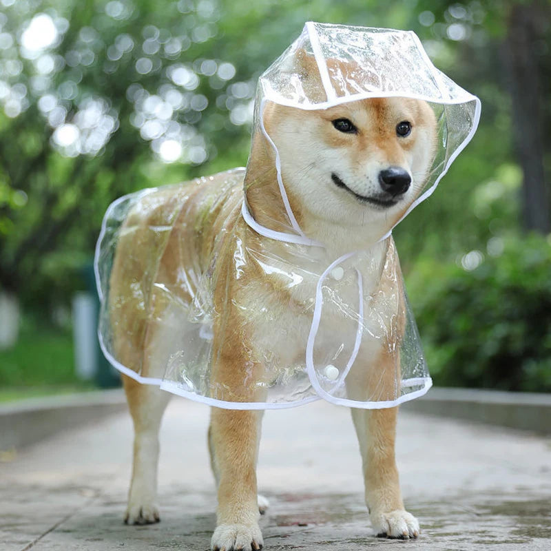 Pet Dog Puppy Transparent Rainwear Waterproof