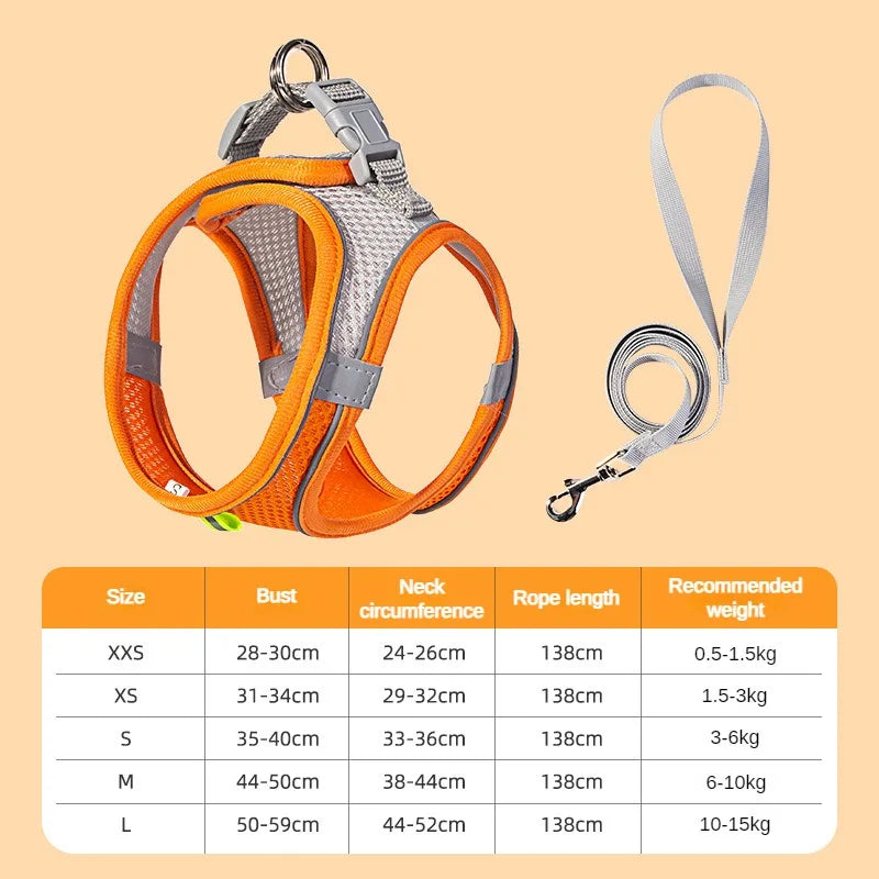 Puppy Harness Set Dog Accessories