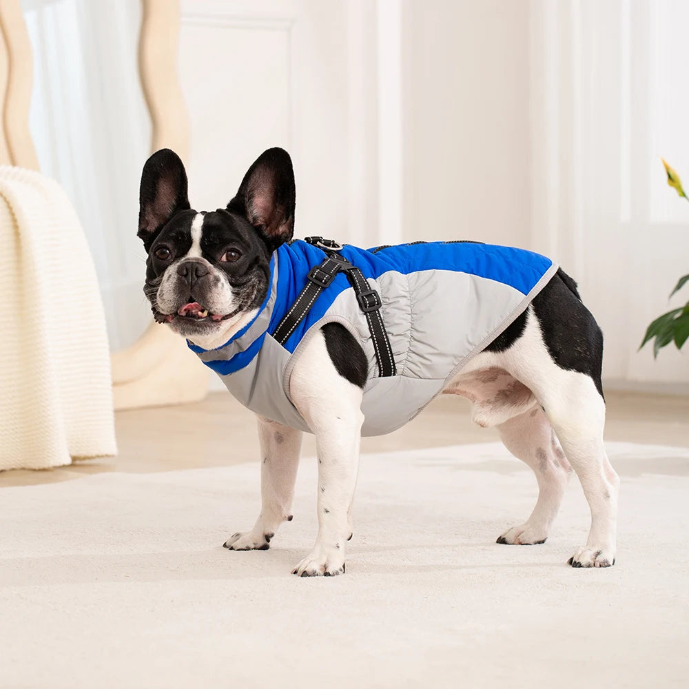 Waterproof Pet Jacket With Harness