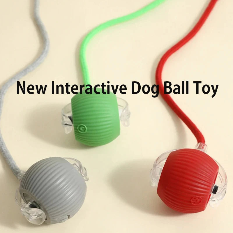 New Dog Interactive Ball Toy,Automatic