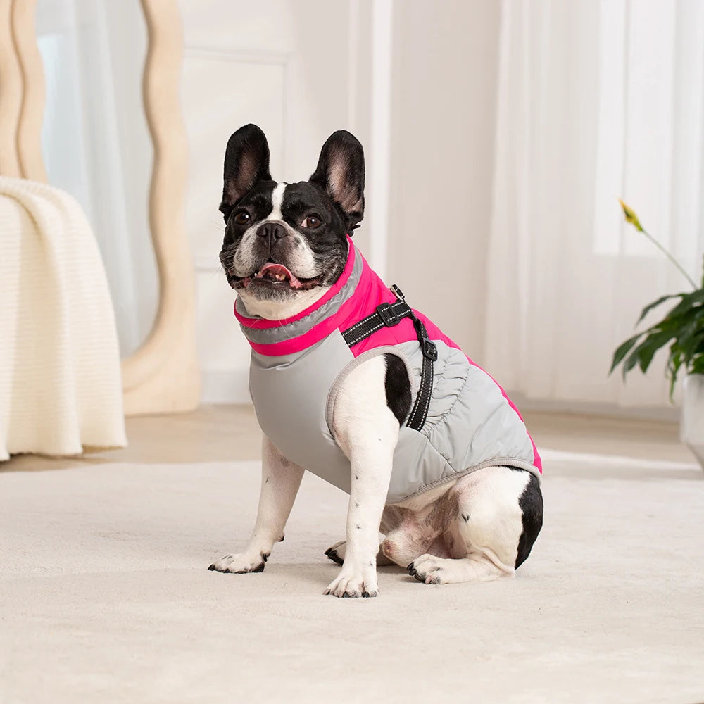 Waterproof Pet Jacket With Harness