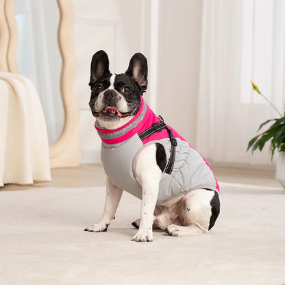 Waterproof Pet Jacket With Harness