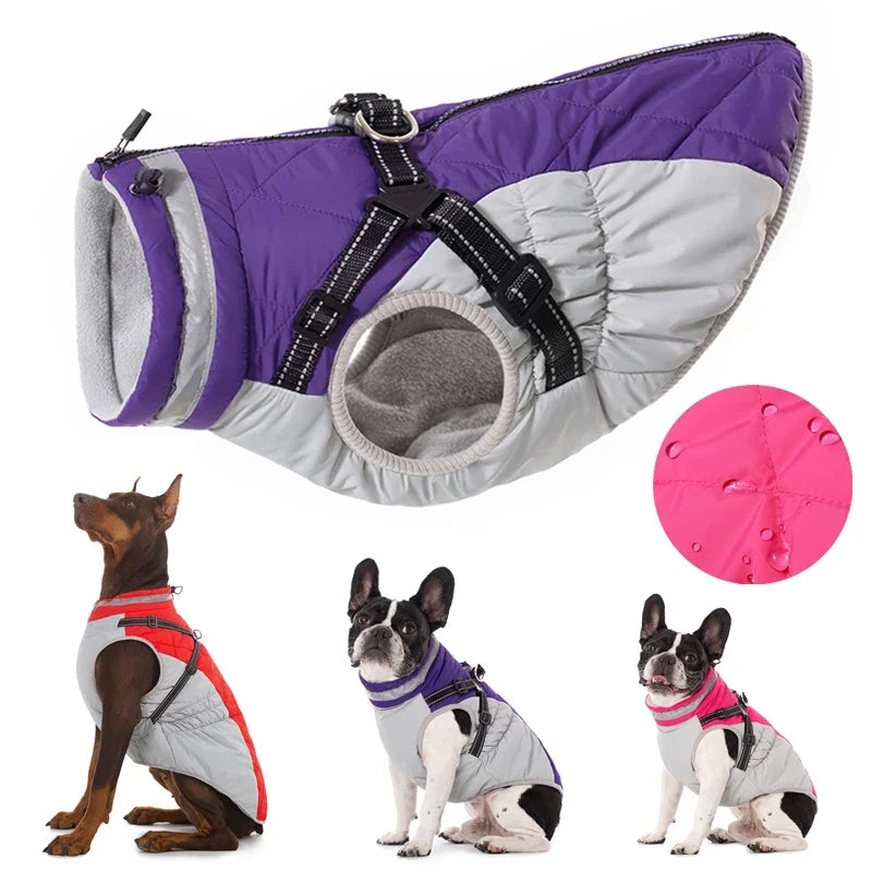 Waterproof Pet Jacket With Harness
