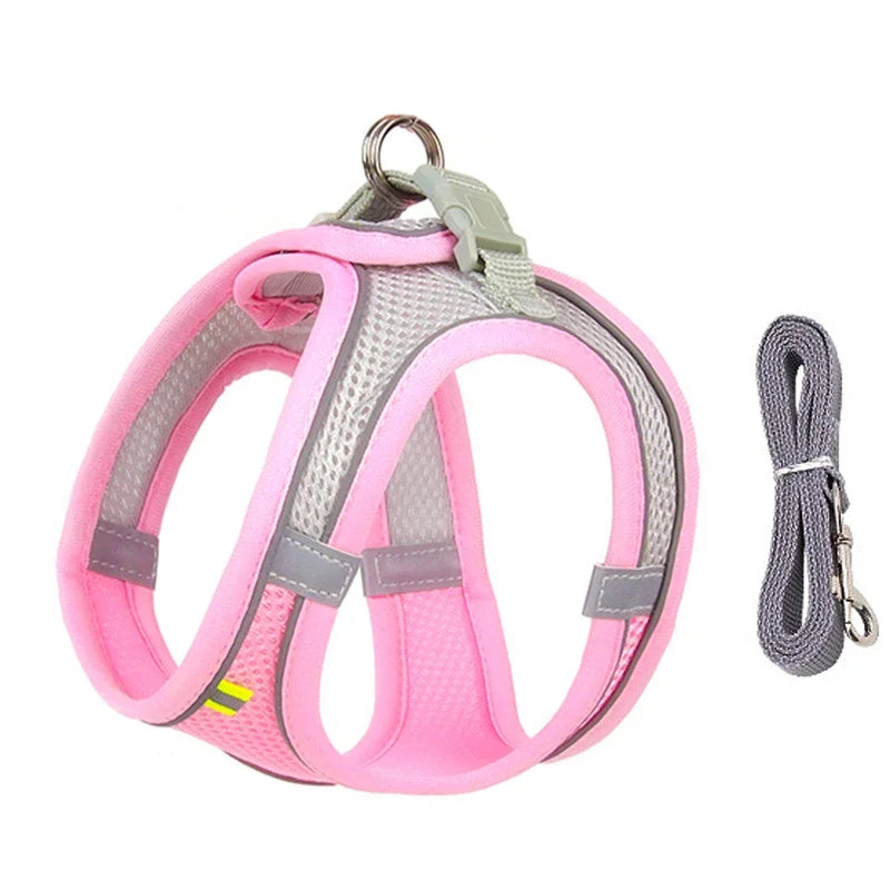 Puppy Harness Set Dog Accessories