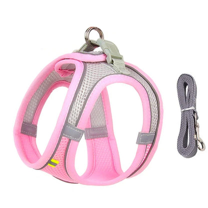 Puppy Harness Set Dog Accessories