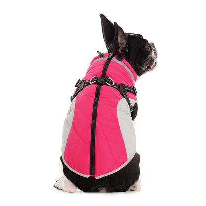 Waterproof Pet Jacket With Harness