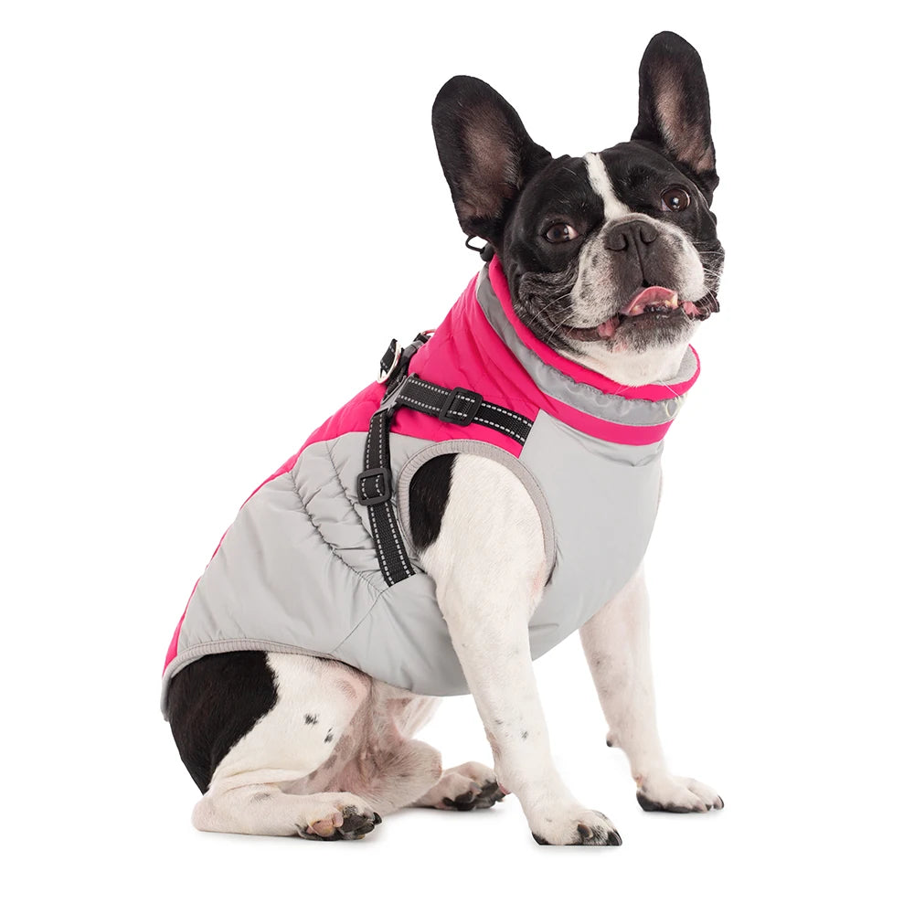Waterproof Pet Jacket With Harness