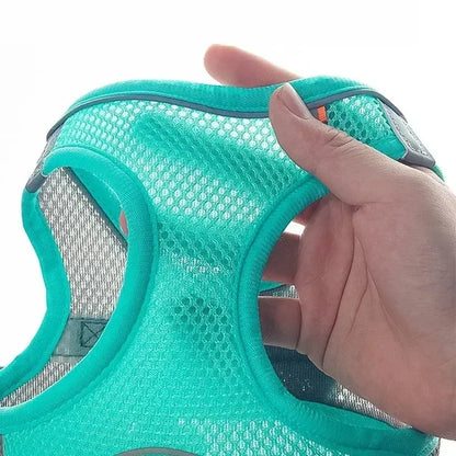 Puppy Harness Set Dog Accessories