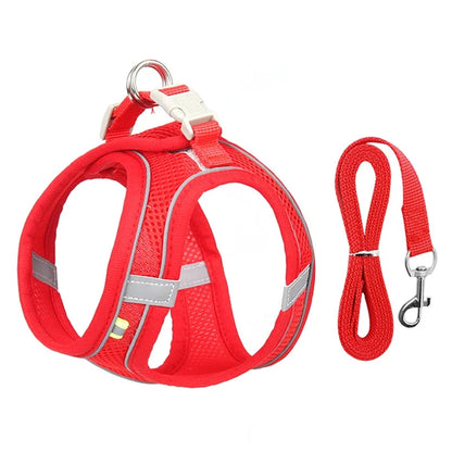 Puppy Harness Set Dog Accessories
