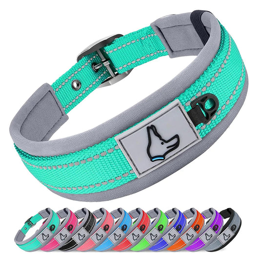 Padded Dog Collars for small Medium