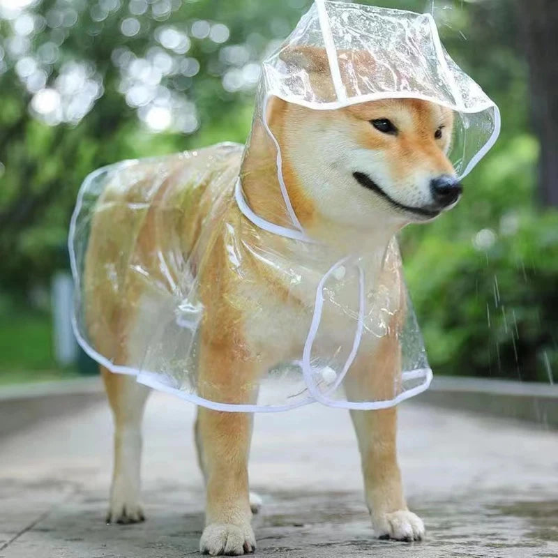 Pet Dog Puppy Transparent Rainwear Waterproof