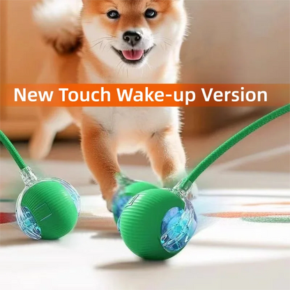 New Dog Interactive Ball Toy,Automatic