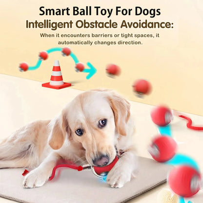 New Dog Interactive Ball Toy,Automatic