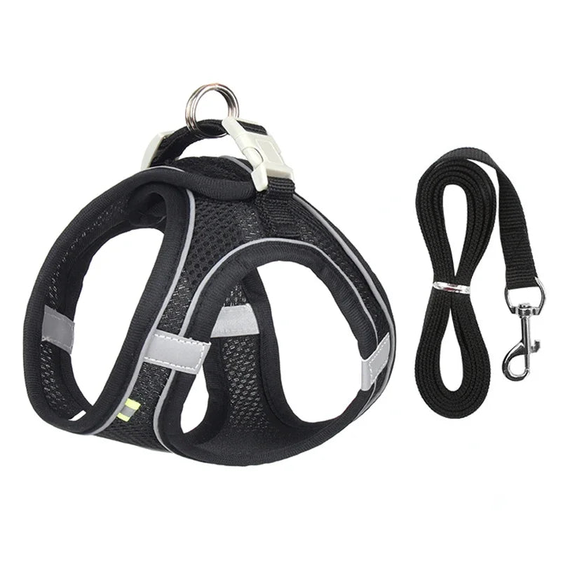 Puppy Harness Set Dog Accessories